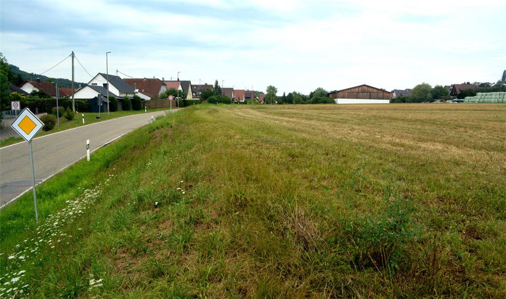 Der Standort der neuen Feuerwache an der Landesstraße. Foto: Stahlfeld