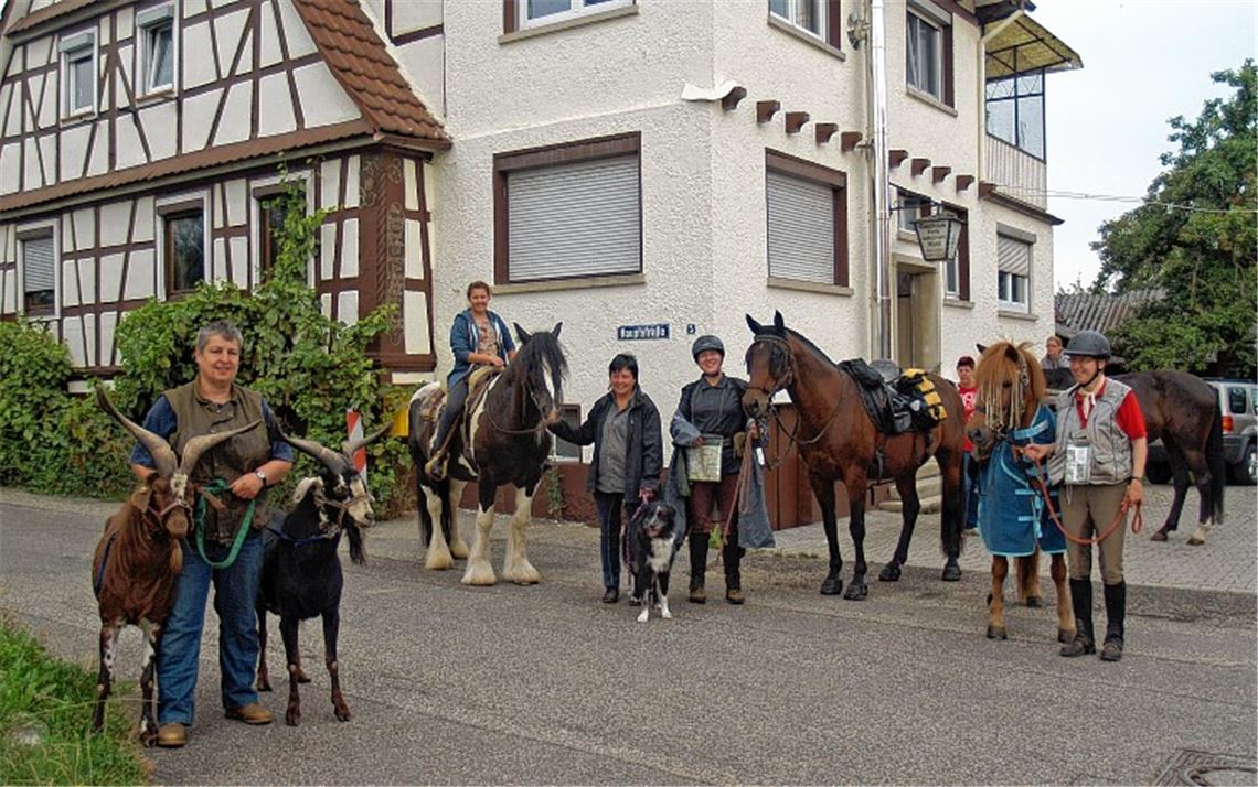 Der Stein des Anstoßes für den braunen Isländer Lagsi: die zwei Ziegen von Heidi Koss, die eigentlich die Gäste mit aus Sengach hinausgeleiten wollen, aber dabei nicht auf Gegenliebe stoßen. Foto: Filitz