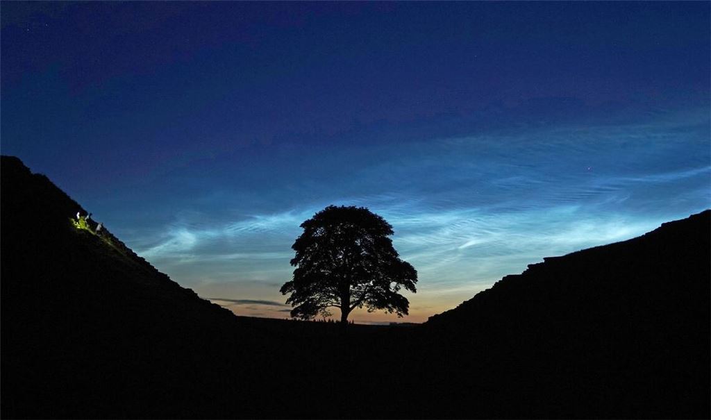 Der Sycamore Gap Tree in England war einst ein beliebtes Fotomotiv. (Archivfoto)
