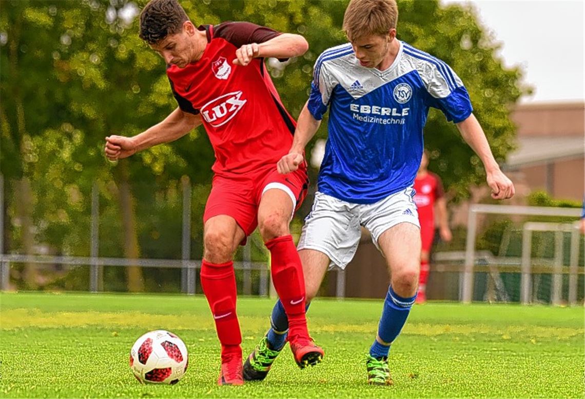 Maulbronn gewinnt erneut