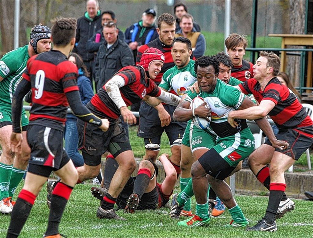Der TV Pforzheim, hier mit Manasah Sita gegen den SC Frankfurt am Ball, will auf eigenem Platz Deutscher Meister werden. Archivfoto: Jürgen Keller