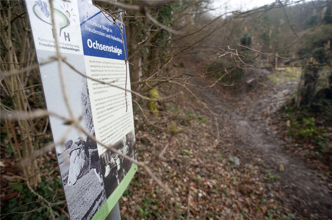 910_0008_186805_vh_Hohlweg_Ochsensteige_Hohenklingen