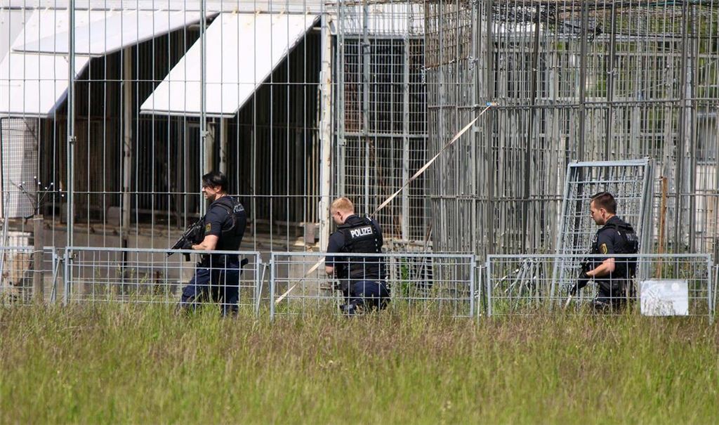 Der Tiger war aus einer privaten Haltung entkommen.