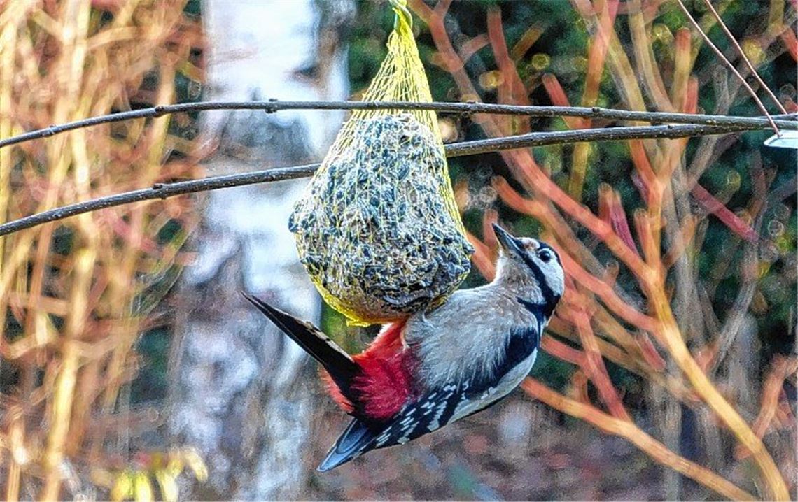 Winterzeit
