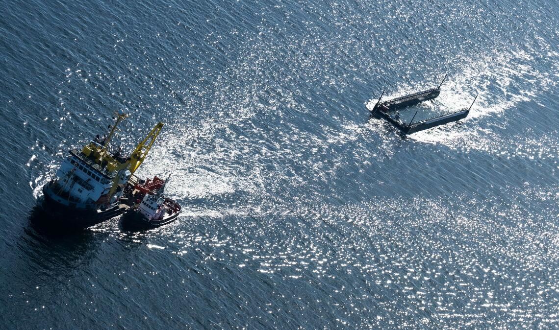 Der Transport bedeutet Experten zufolge unter anderem wegen des Lärms viel Stress.