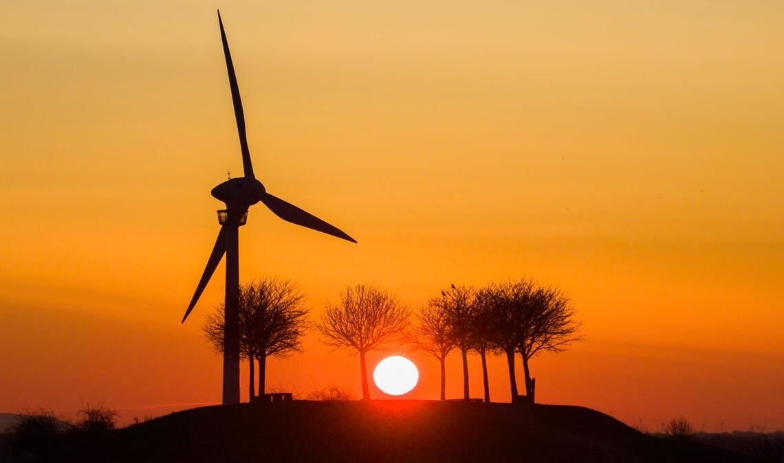 Der Umstieg von fossilen auf erneuerbare Energien ist ein Thema beim Petersberger Klimadialog. (Archivbild)