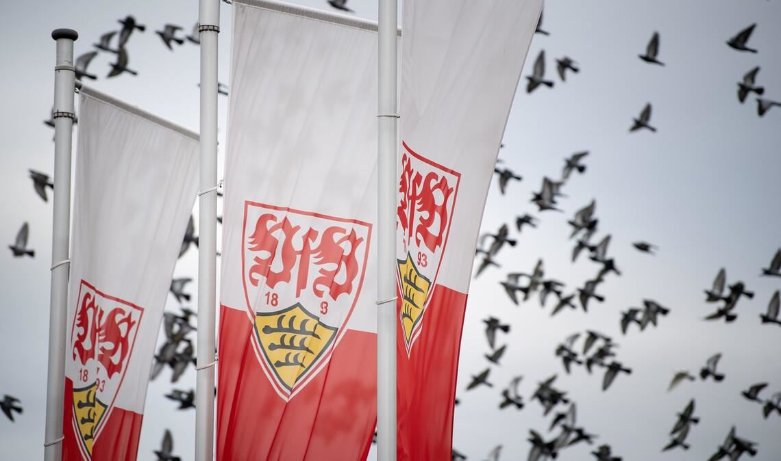 Der VfB Stuttgart II trifft am 27. Spieltag der 3. Liga auf Energie Cottbus.