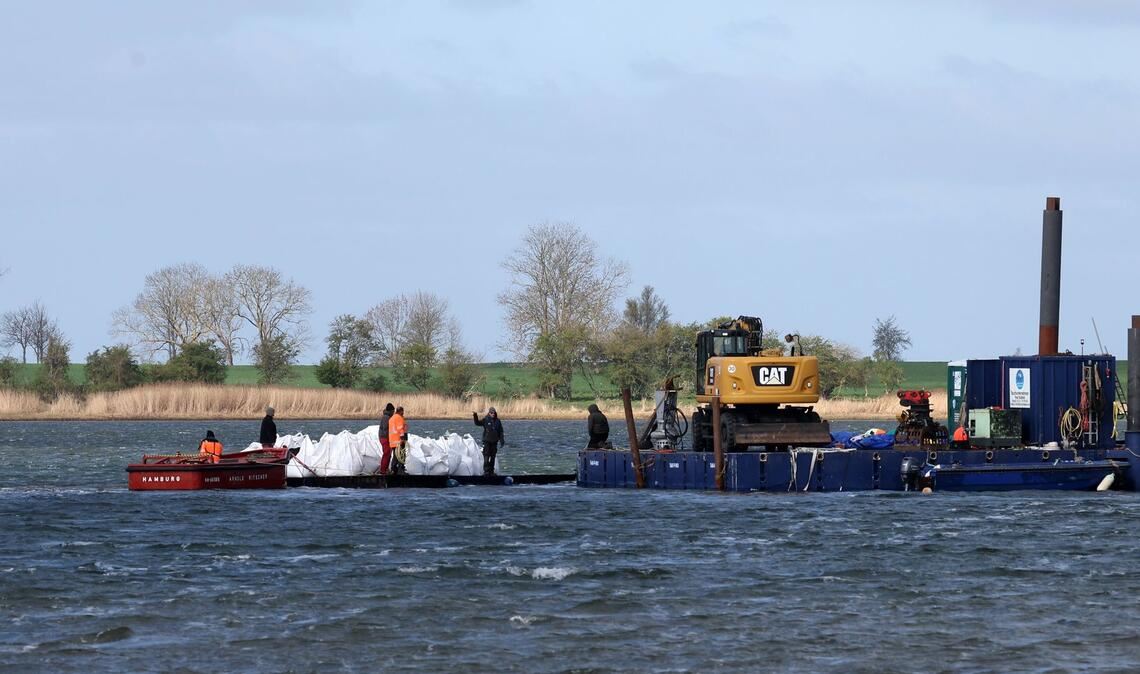 Der Wal soll nicht noch tiefer in den Flachwasser-Bereich schwimmen.