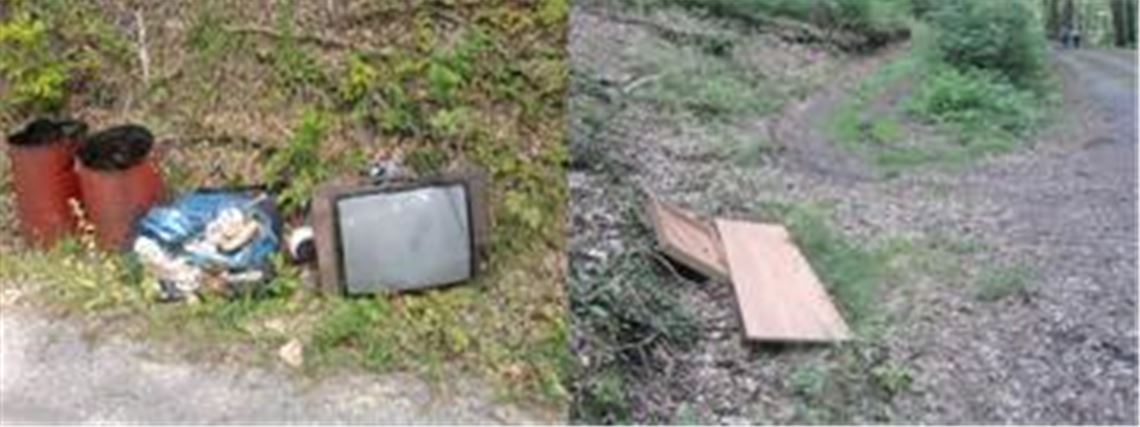 Der Wald als Müllhalde: Ein Umweltsünder hat am Eppinger Linienweg zugeschlagen. Fotos: privat