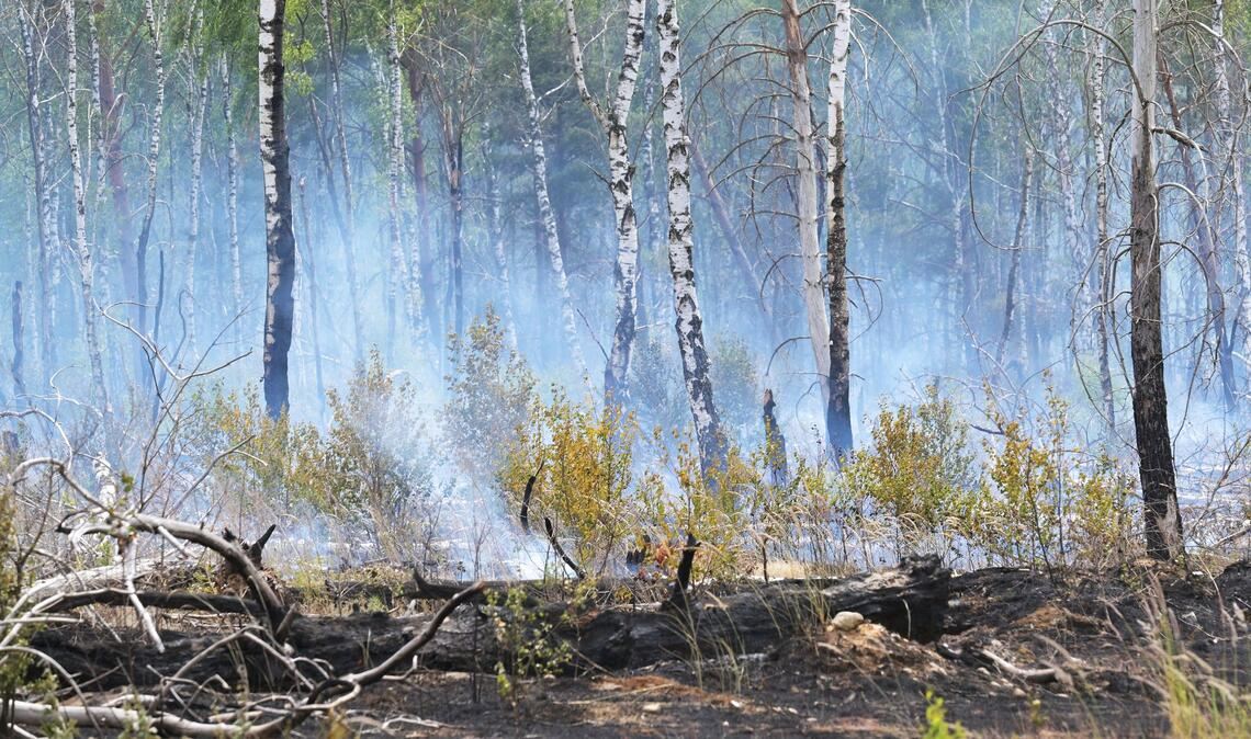 Der Waldbrand auf dem mit Kampfmitteln belasteten Gelände bei Jüterbog ist der bislang größte Waldbrand in dieser Saison in Brandenburg.