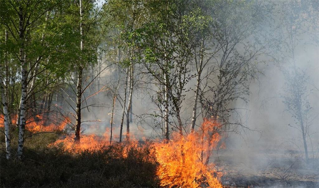 Der Waldbrand in Jüterbog in Brandenburg breitet sich aus