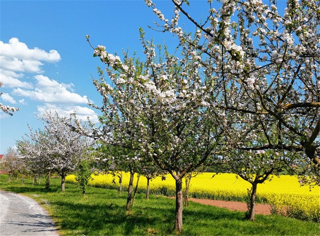 Frühlingsgefühle