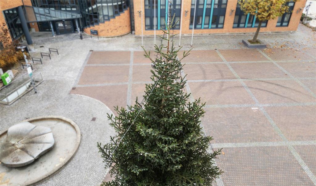 Der Weihnachtsbaum auf dem Kelterplatz steht schon parat. In anderthalb Wochen beginnt hier der Weihnachtsmarkt. Foto: Fotomoment