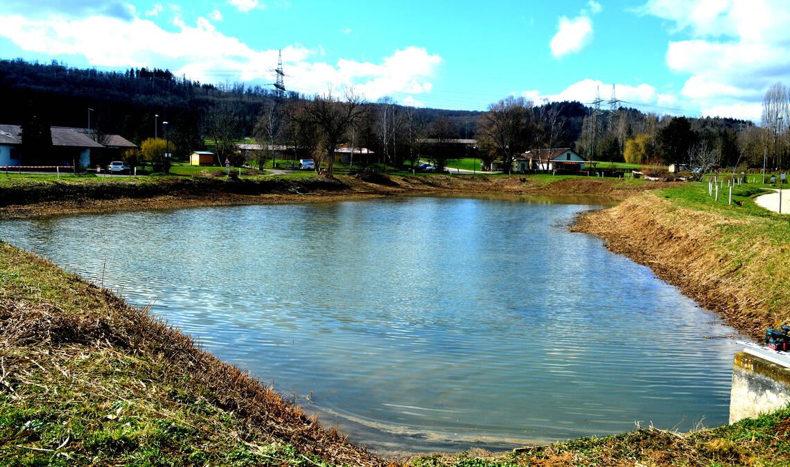 Der Wullesee gehört zu den wichtigsten Laichgewässern in Baden-Württemberg. Jetzt ist mit dem Wasser auch die Hoffnung auf bessere Zeiten wiedergekehrt. Fotos: Stahlfeld