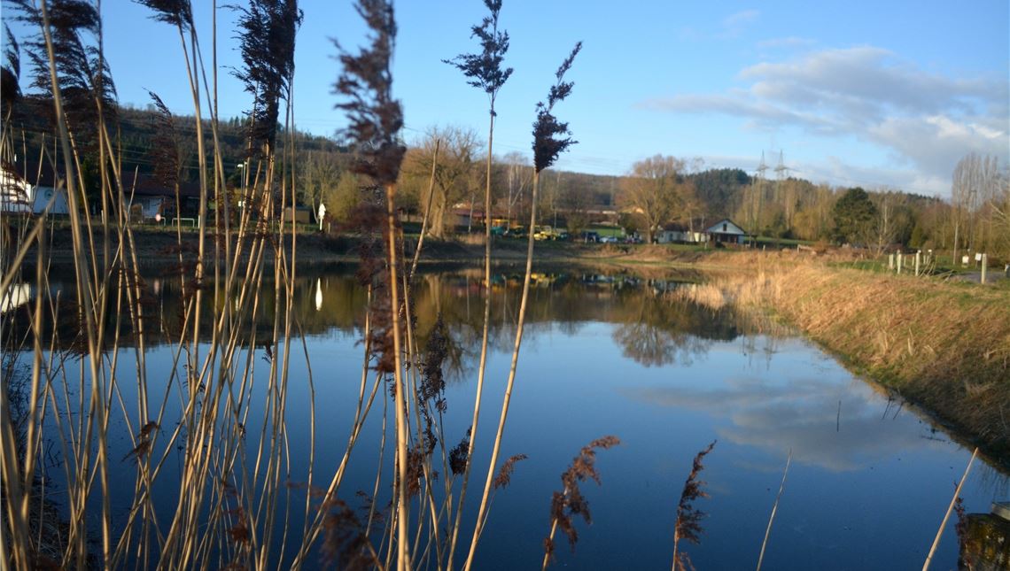 Hoffnung auf Fische im Wullesee steigt Der Wullesee ist eines der bedeutendsten Laichgewässer in Baden-Württemberg. Foto: Archiv