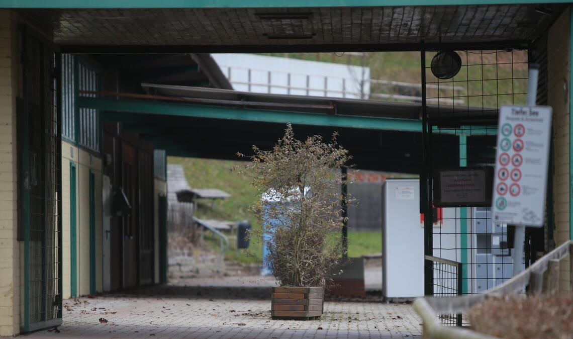 Der Zugangsbereich am „Tiefen See“: Schwere Baufahrzeuge kommen hier nicht durch, was sie aber für die erste Sanierungsmaßnahme müssen. Deshalb beginnen nun bald Abrissarbeiten an der Dachstruktur. Foto: Disselhoff