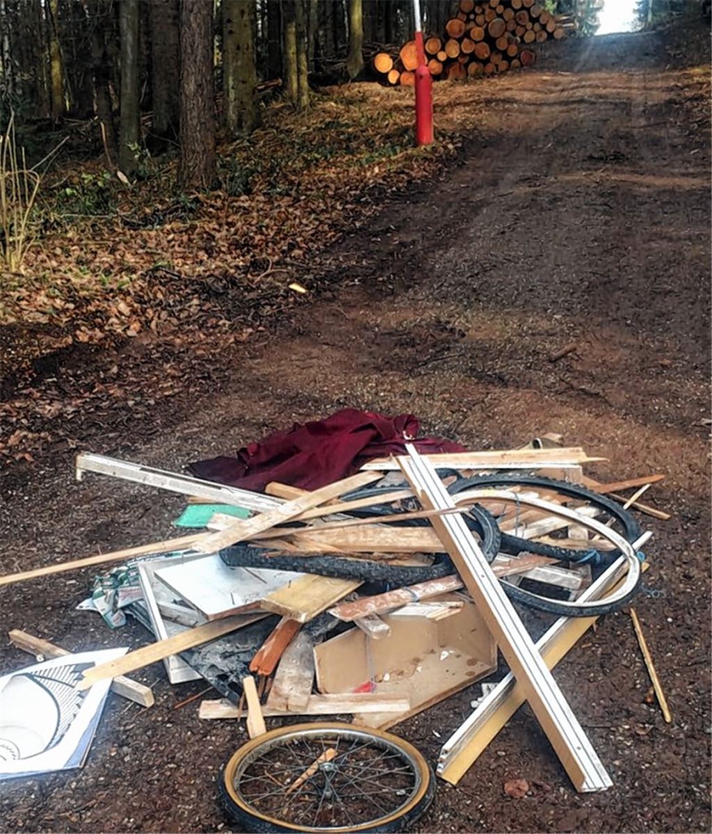 Müll im Wald sorgt für Ärger