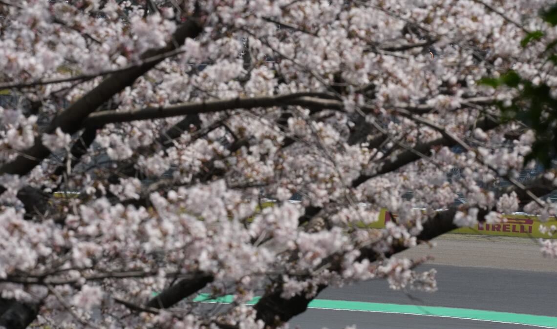 Der britische Ferrari-Pilot Lewis Hamilton steuert sein Auto.