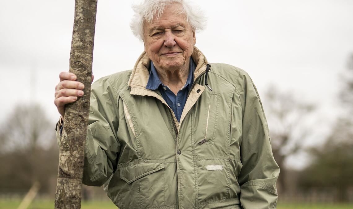 Der britische Naturforscher und Dokumentarfilmer David Attenborough feiert seinen 100. Geburtstag. (Archivbild)