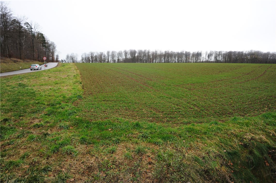 nd der favorisierte Standort für einen Neubau auf Gemarkung Wiernsheim.  Foto: Fotomoment