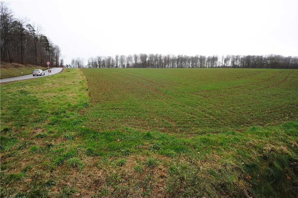 nd der favorisierte Standort für einen Neubau auf Gemarkung Wiernsheim.  Foto: Fotomoment
