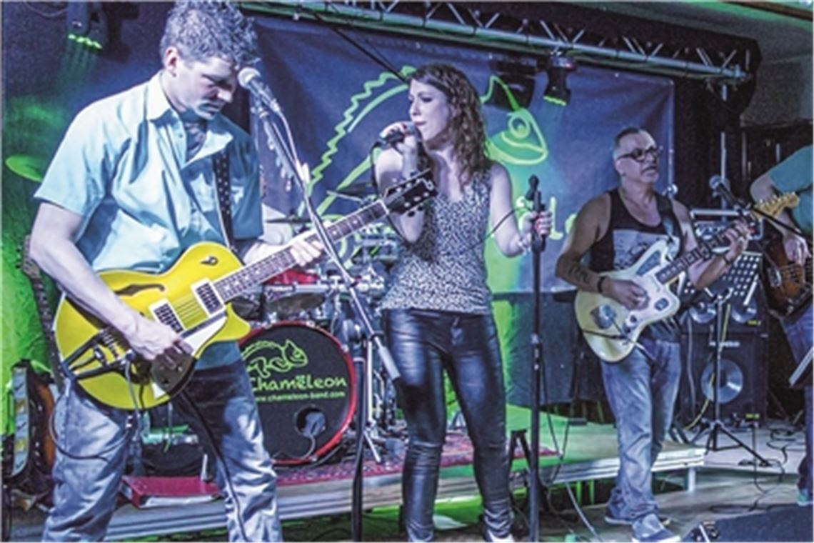 Der frühere Kämmerer Matthias Enz – im Bild als Gitarrist der Band Chameleon – hat seine Bewerbungsunterlagen abgegeben. Mit Ulrich Kisling will ein ehemaliger Gemeinderat aus Pinache Bürgermeister von Wiernsheim werden. Fotos: Deeg, Archiv/Fotomoment