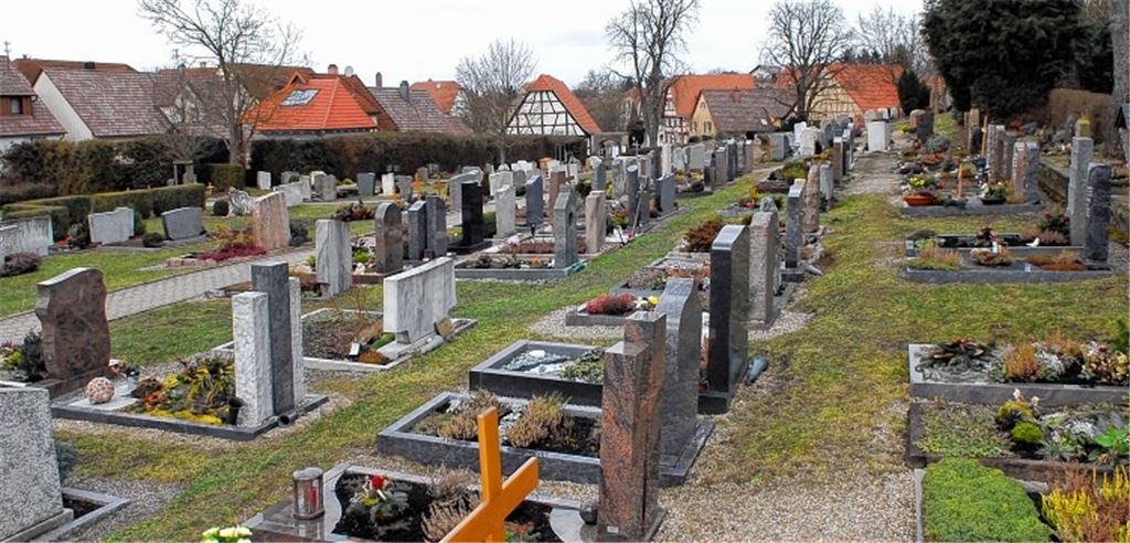 Der gepflasterte Mittelweg soll ab 2016 durchgängig fortgeführt werden. Die Thuja-Hecke (Bildmitte links) soll jetzt entfernt werden. Der Fachwerk-Giebel in der Bildmitte gehört zum benachbarten Schafhaus, das zu Friedhofszwecken umgebaut werden soll.Foto: Martin Schott