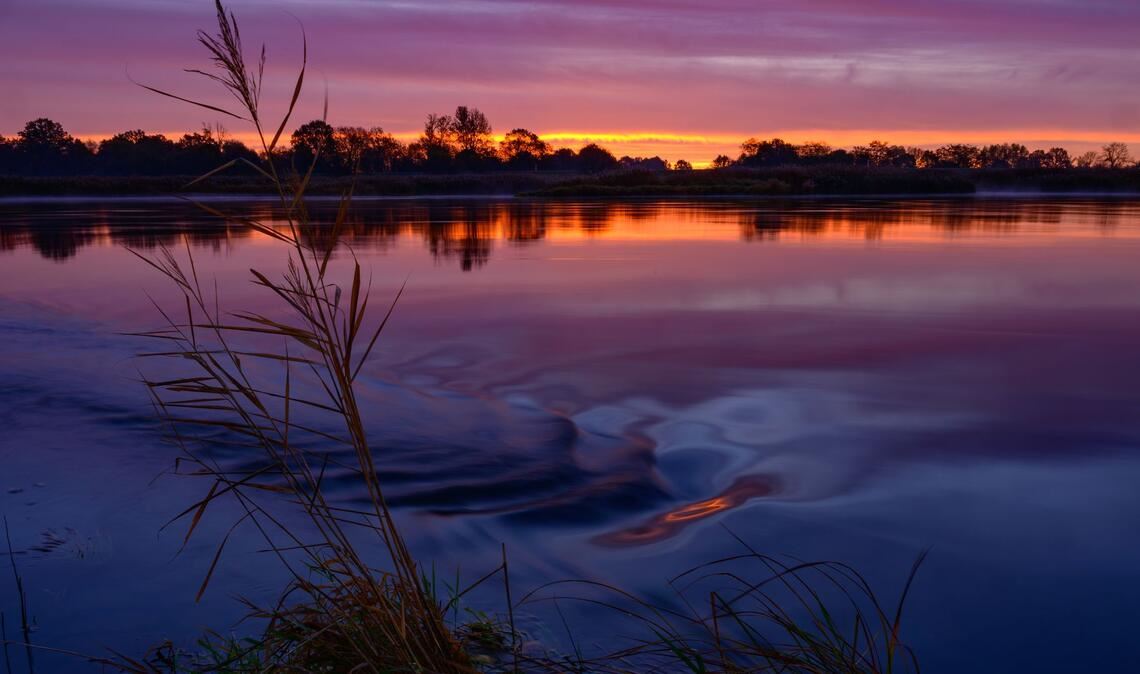 Der herbstliche Sonnenaufgang spiegelt sich auf der Oder in Brandenburg.