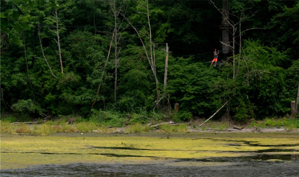 Der mittlere der Illinger Klosterseen, über den eine Seilrutsche des Kletterwalds führt, soll beziehungsweise muss ausgebaggert werden, um die „Veralgung“ zu entschärfen. Foto: Stahlfeld