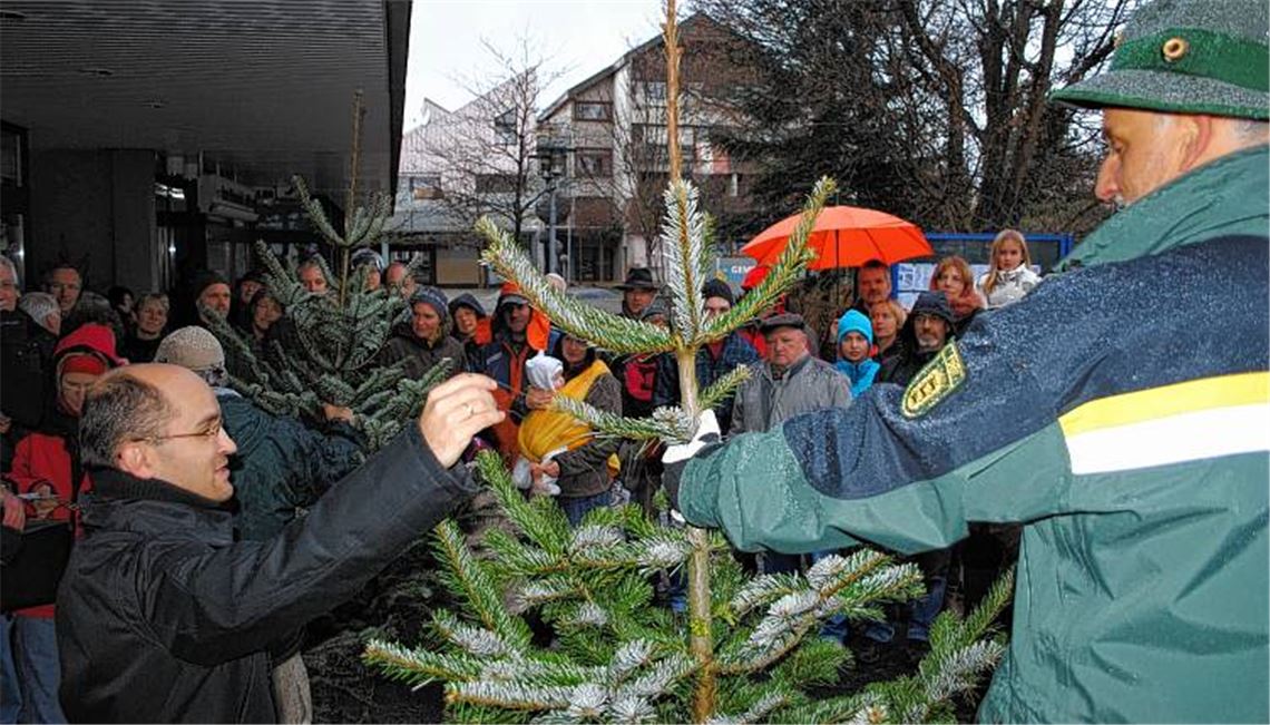 Der nadelt nicht: Bürgermeister Harald Eiberger (li.) und Revierförster Rolf Esslinger preisen die Versteigerungsobjekte an. Trotz des Regens herrscht beste Stimmung.
