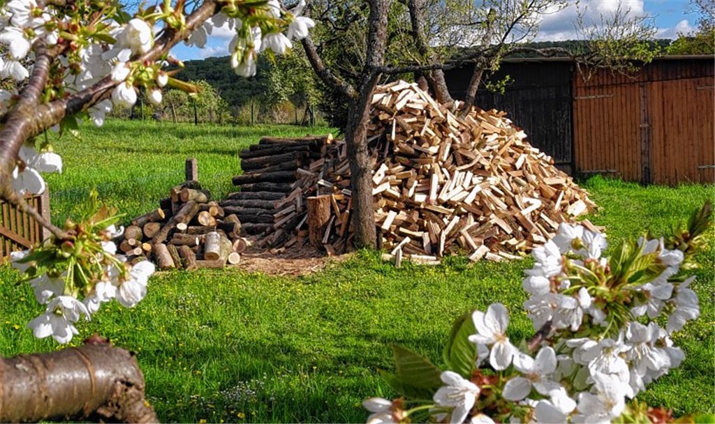 Frühlingsgefühle