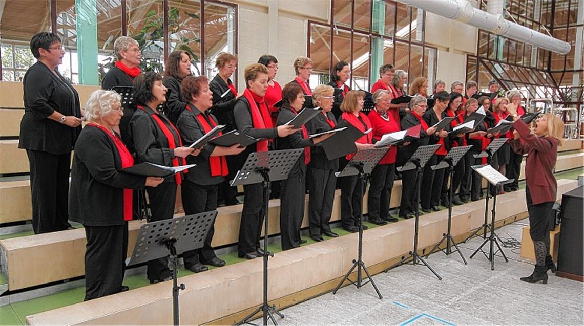 Der neu gebildete Verbandsfrauenchor unter der Leitung von Michaela Hartmann-Trummer umrahmt beim Verbandstag in Neuenbürg stimmgewaltig die Ehrungen langjährig aktiver Sängerinnen und Sänger.