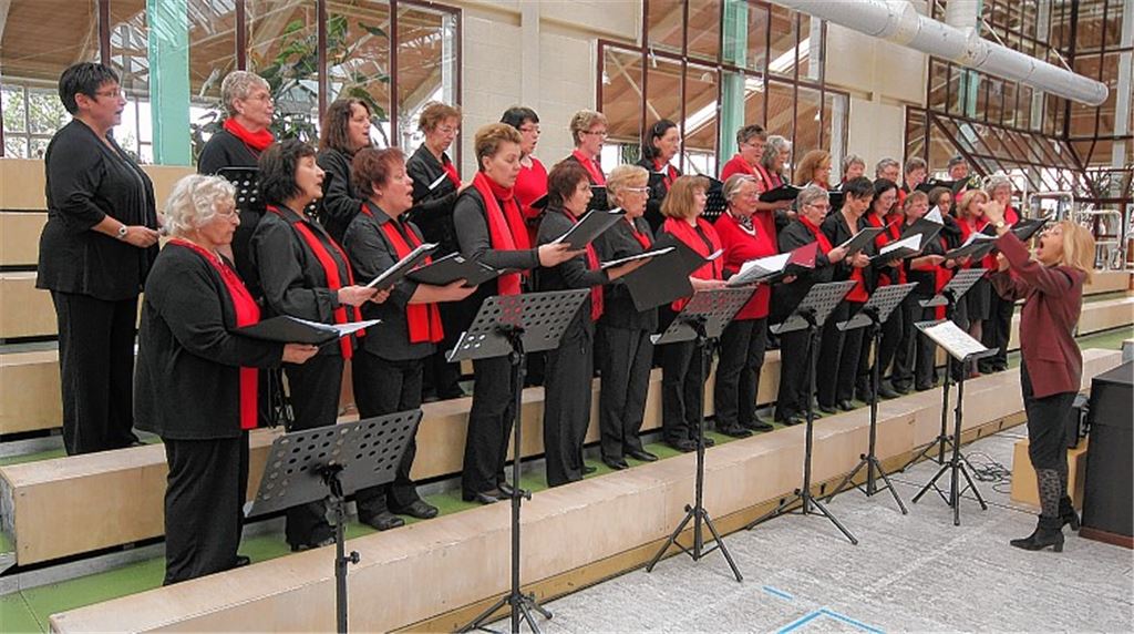 Der neu gebildete Verbandsfrauenchor unter der Leitung von Michaela Hartmann-Trummer umrahmt beim Verbandstag in Neuenbürg stimmgewaltig die Ehrungen langjährig aktiver Sängerinnen und Sänger.