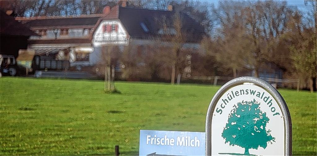 Künftig strahlt es aus dem Wald