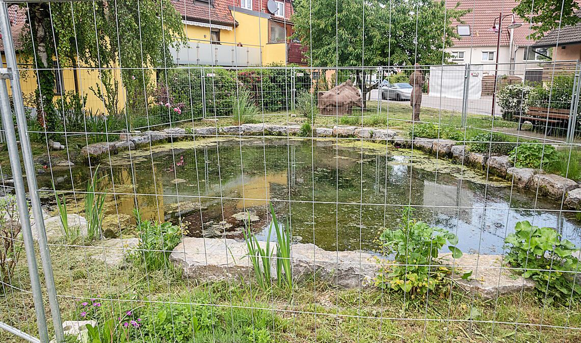 Der provisorische Bauzaun am Wiernsheimer Mühlteich soll demnächst der Vergangenheit angehören. Foto: Fotomoment