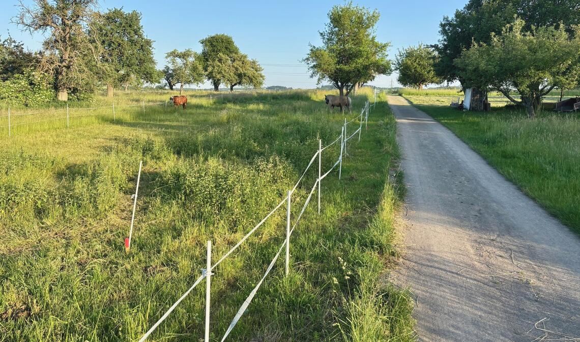 Der rote Pflock am linken Bildrand markiert den „offiziellen“ Rand des Feldwegs im Pinacher Gewann „Rosenpfad“. Fotos: Schüller
