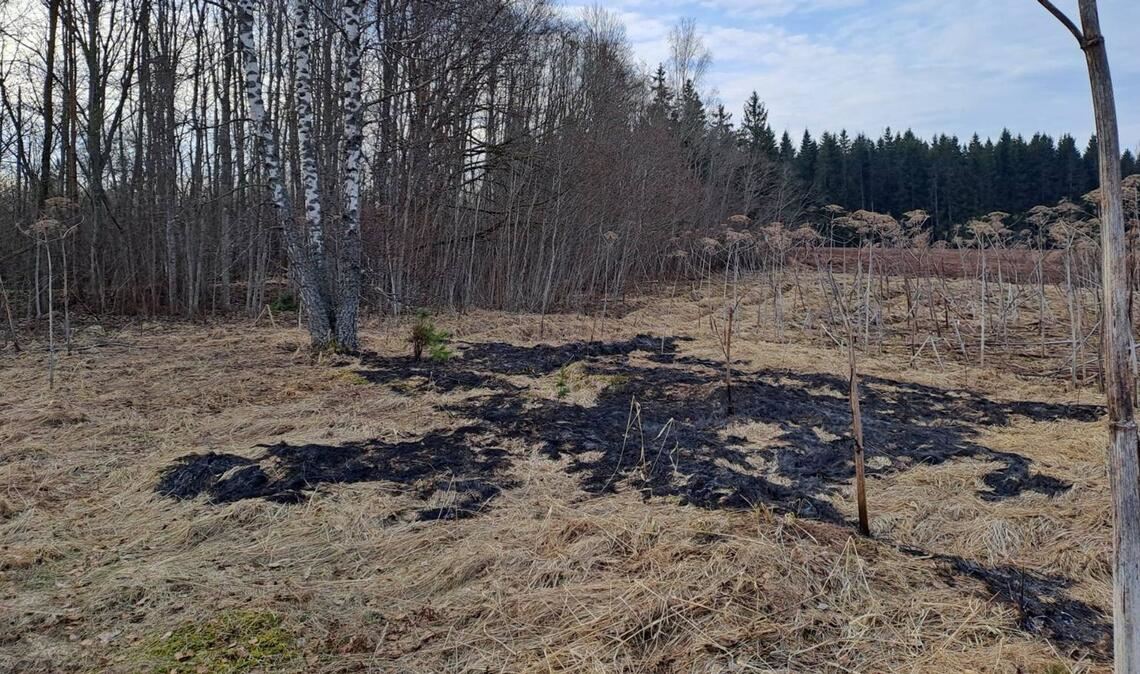Der ukrainische Abwehrkampf gegen Russland zieht die baltischen Staaten in Mitleidenschaft.