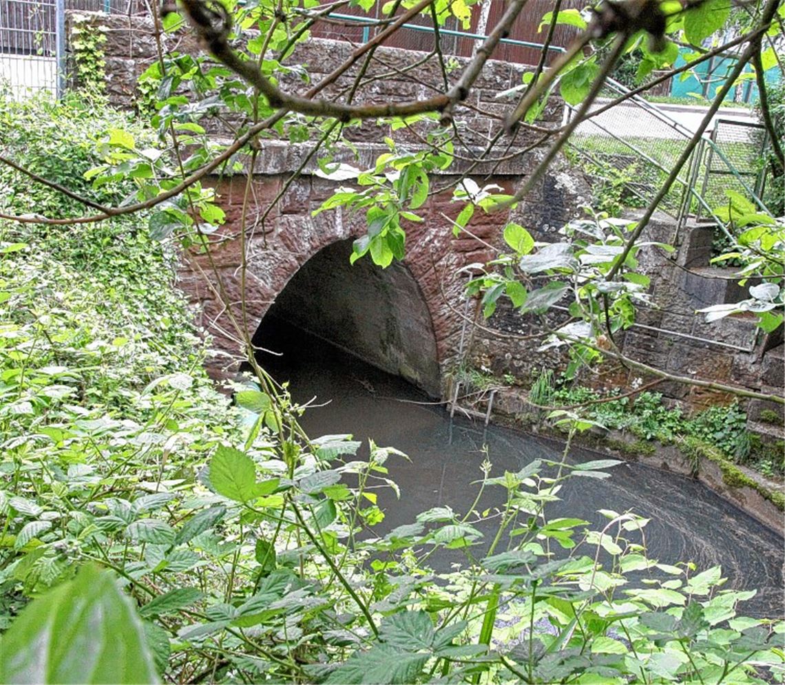 Der verborgene Schatz ist das Problem: Die Salzach, die unter dem MWK-Areal fließt, soll im Zuge der heiß ersehnten Belebung der Industriebrache mit Wohnungen und Gewerbeeinheiten ans Tageslicht geholt werden. Das bedeutet für den potenziellen Investor, dass er Abstriche bei der Fläche der vermarktbaren Grundstücke in Kauf nehmen muss.
