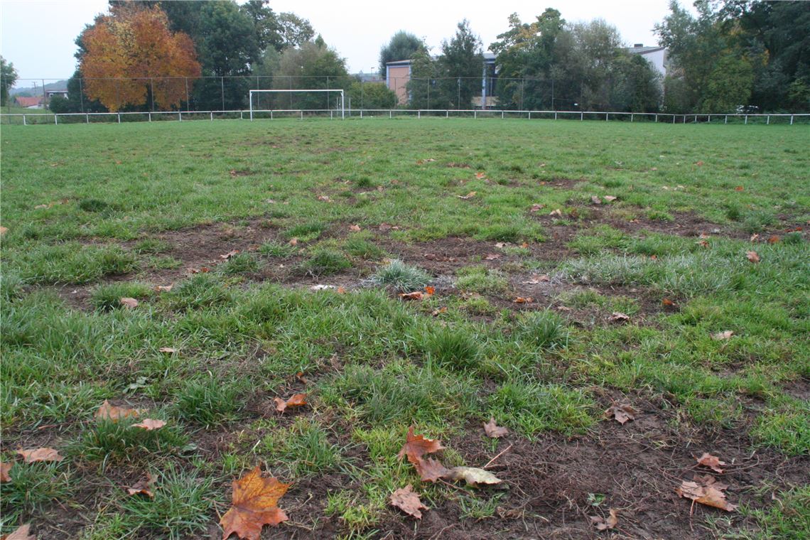 Der zweite Fußballplatz von Phönix Lomersheim gleicht mehr einem Acker als einem Rasen. Furchen, Löcher und Maulwurfshügel durchziehen das Spielfeld. Die Finanzierung des Kunstrasens erhält durch eine überraschende Ankündigung jetzt eine ganz neue Dynamik.   (Foto: Eigner)
