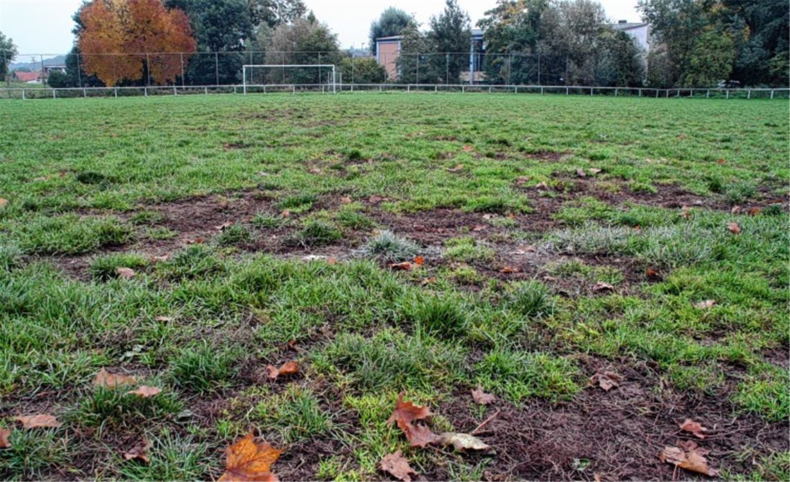 Der zweite Fußballplatz von Phönix Lomersheim gleicht mehr einem Acker als einem Rasen. Furchen, Löcher, Maulwurfshügel durchziehen das Spielfeld auf ganzer Länge und Breite. Foto: Eigner