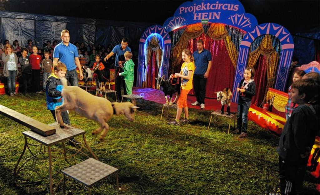 Derzeit arbeiten die Maulbronner Schüler intensiv an ihren Zirkusnummern. Natürlich fehlen auch Tierdressuren im Programm nicht. Foto: Fotomoment