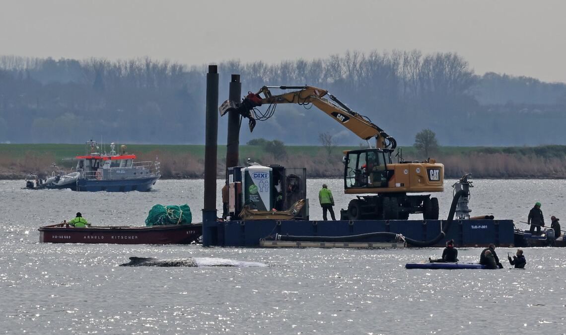 Detaillierte Infos zum Fortschritt der Rettungsaktion gibt es von den Initiatoren nicht.