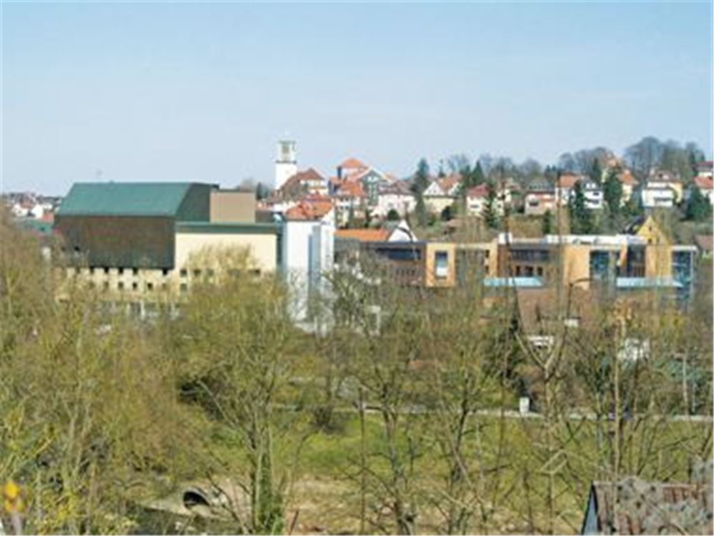 Dicht beeinander und doch so fern: Zwischen der Kommunalpolitik (im Vordergrund rechts das Rathaus) und der Firma Echo als Eigentümer des Mühlehofs (links daneben) herrscht Eiszeit. Foto: Eier