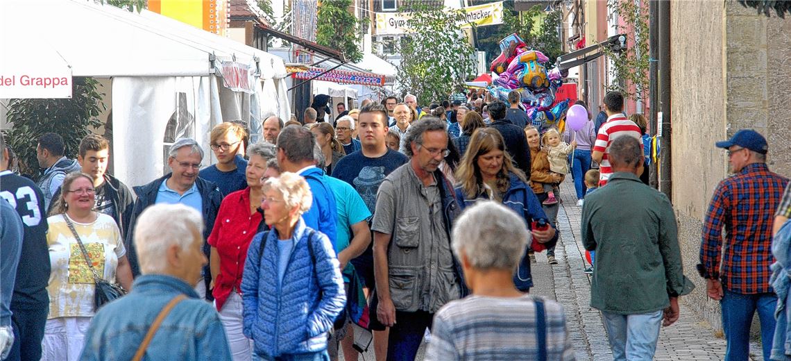 Dichtes Gedränge in der Dürrmenzer Waldenserstraße: Bilder wie dieses wird es an diesem Wochenende nicht geben, weil das Straßenfest Corona-bedingt ausfällt. Archivfoto: Stahlfeld