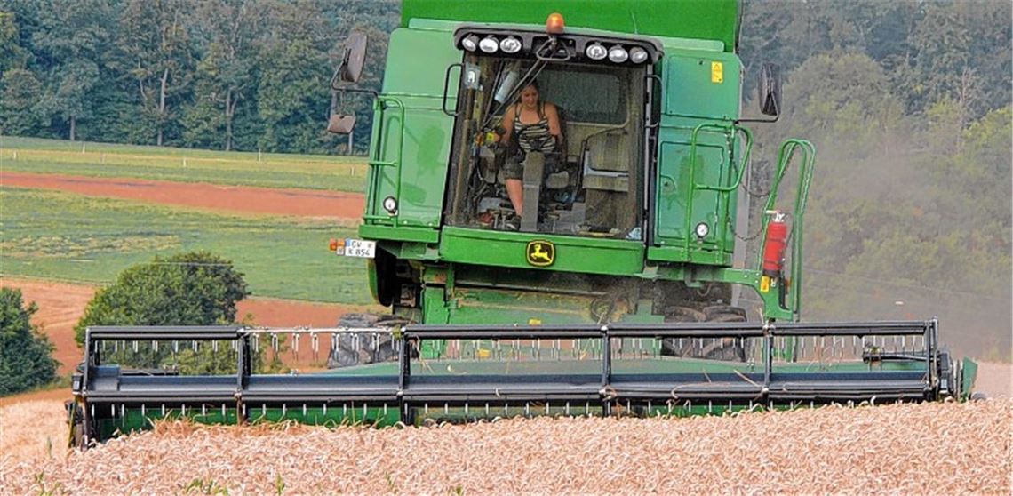 Die 20-jährige Hanna Klink aus Bad Teinach-Zavelstein erntet auf den Feldern des Nußbaumer Panoramahofes den Winterweizen. Foto: Dietrich