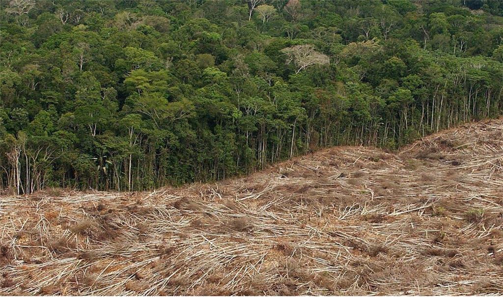 Die Abholzungen des Regenwaldes wie hier im Amazonasgebiet nehmen dramatisch Formen an. Die EU will nun schärfer dagegen vorgehen.