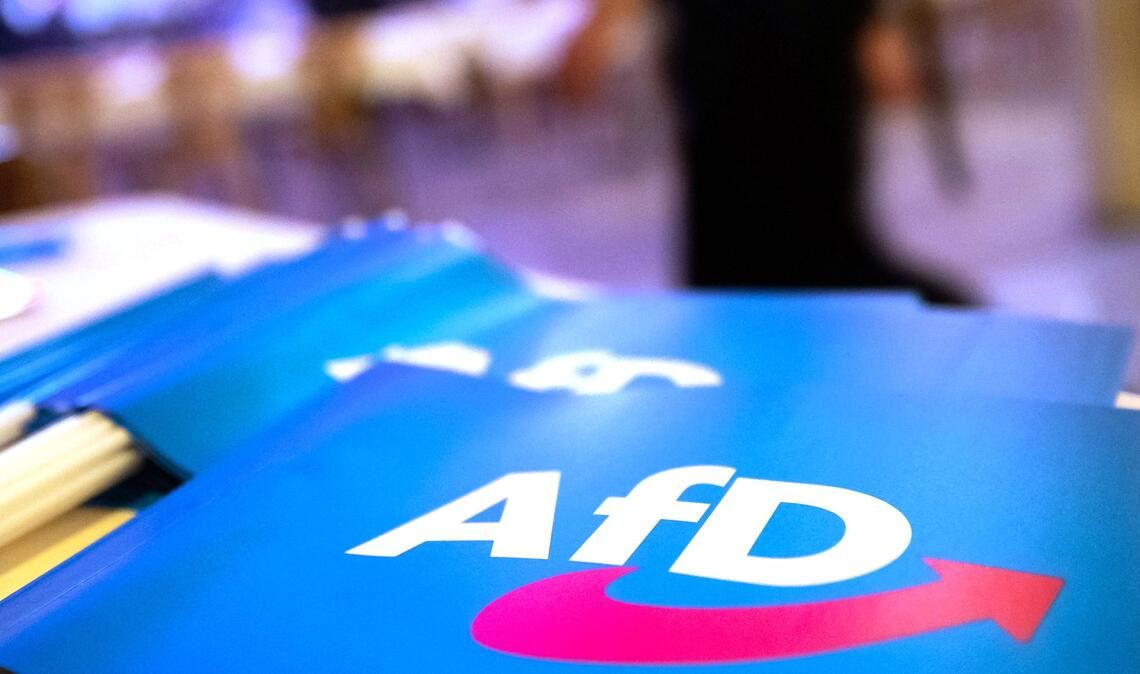 Die AfD liegt in Sachsen-Anhalt in Umfragen weit vorn.