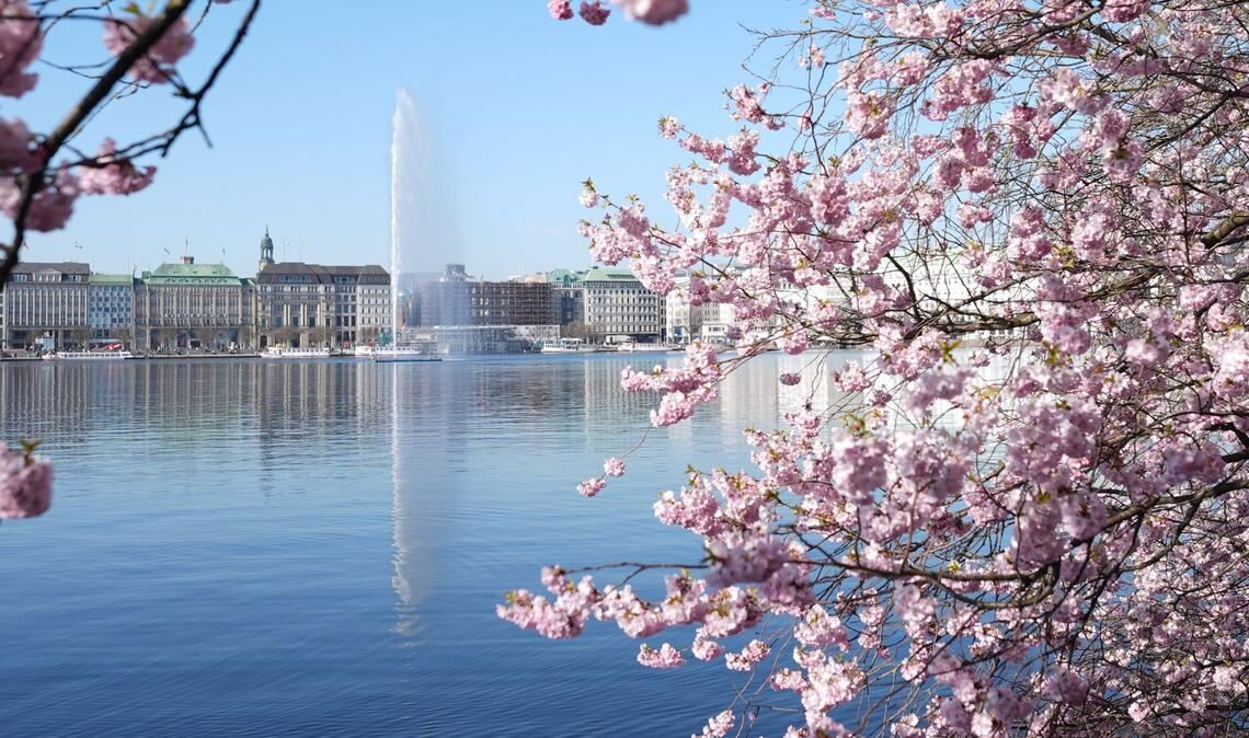 Die Alsterfontäne sprudelt nach dem Einschalten auf der Hamburger Binnenalster.