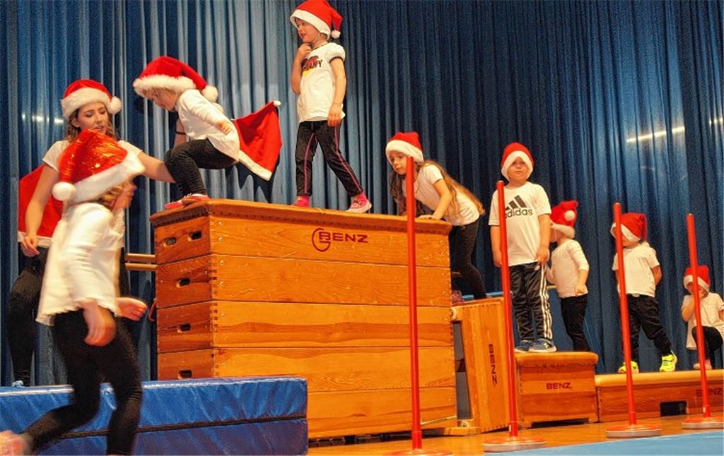 Turntiger im Weihnachtswunderland