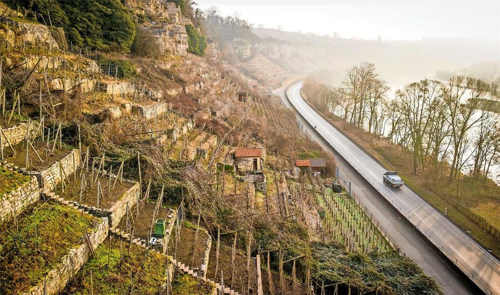 Die Auswirkungen des Strukturwandels sind längst sichtbar: Die Steillagen am Neckar werden teilweise nicht mehr beackert.